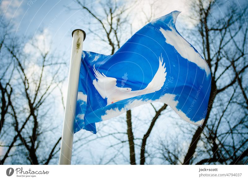 Fahne von Friedenstaube im Wind wehen Fahnenmast Wolken Himmel flattern kahle Bäume Schönes Wetter blau Friedenssymbol weiß auf blau Ukraine Symbole & Metaphern