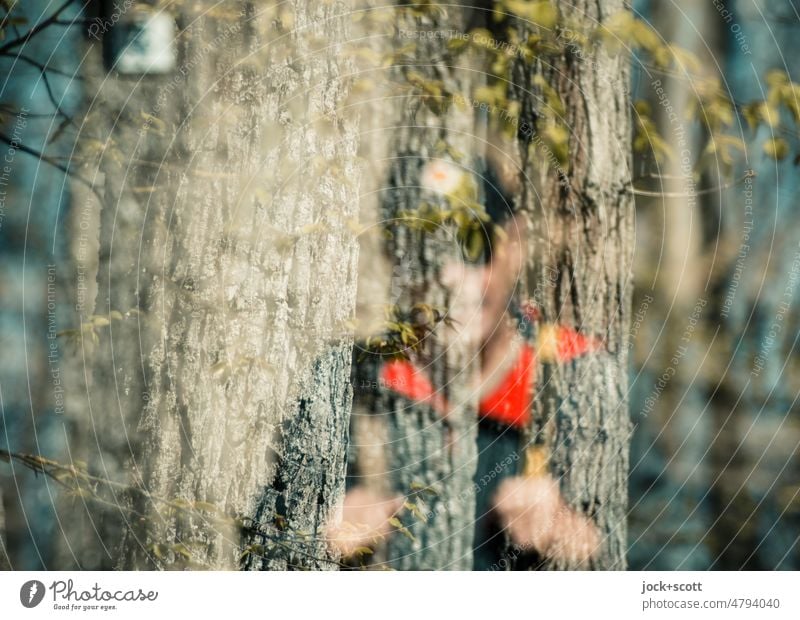 ein Wanderer, mit Bäumen verbunden Mann wandern Natur Baum Baumrinde Baumstamm Wald Umwelt defokussiert Doppelbelichtung Silhouette Reaktionen u. Effekte