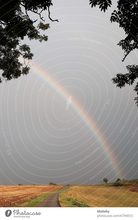 Schöner Regenbogen vor dunklem Himmel nach einem Gewitter in Gembeck am Twistetal im Kreis Waldeck-Frankenberg in Hessen Erholung Spaziergang Trekking Wanderung