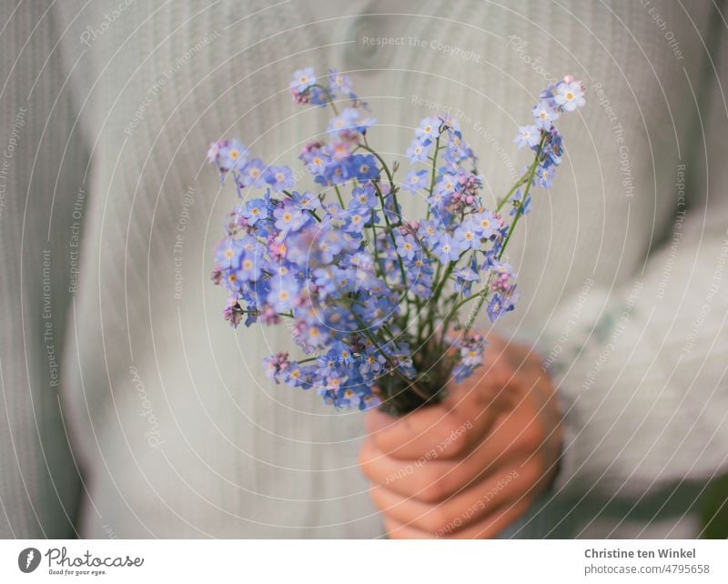 Ein kleiner Strauß Vergissmeinnicht in der Hand einer jungen Frau Vergißmeinnicht Blüte blau Blume Blühend Blumenstrauß halten festhalten junge Frau Unschärfe