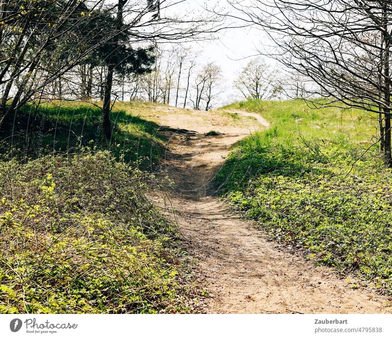 Feldweg zieht über einen Hügel, Wiese und Bäume im Frühling Idylle Wandern Spazieren Spaziergang Freizeit Erholung Natur Wald Weg Wege & Pfade ruhig Landschaft