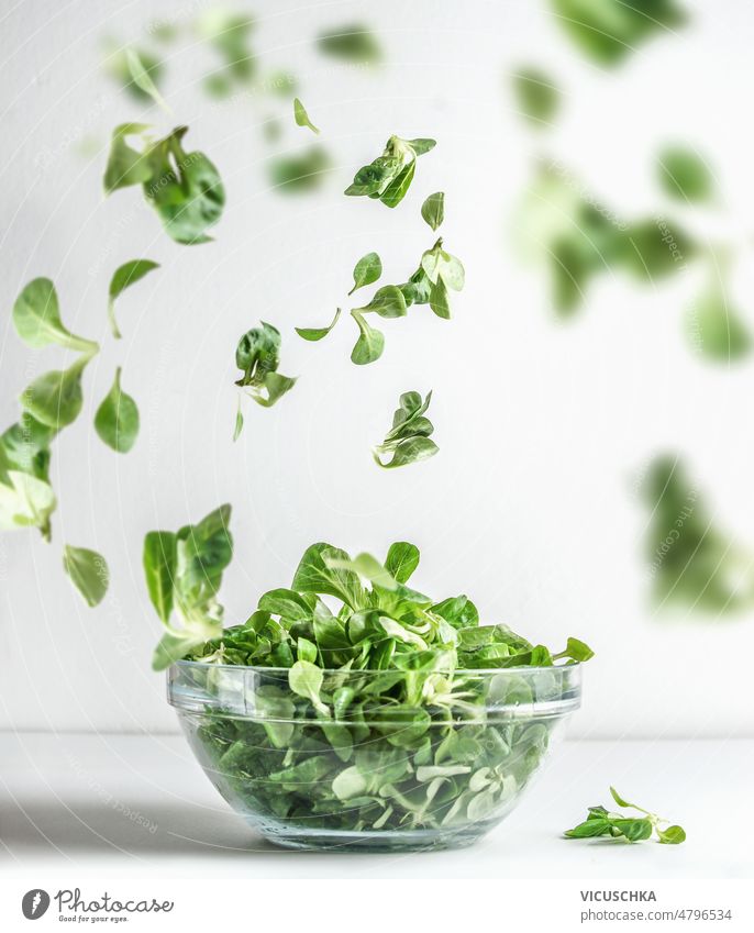 Grüner Salat in Glasschale und fliegende Salatblätter auf weißem Hintergrund. Gesundes Kochen grün Salatbeilage Schalen & Schüsseln Blätter weißer Hintergrund