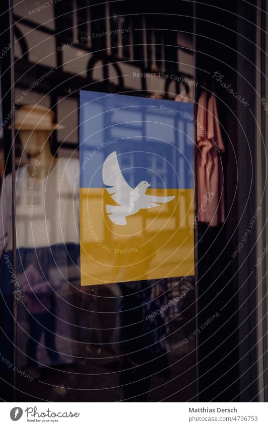 Solidarität Ukraine Ukrainekrieg Ukraine-Krieg ukrainische Flagge Politik & Staat Freiheit Frieden Menschlichkeit Zeichen Friedenswunsch Hoffnung