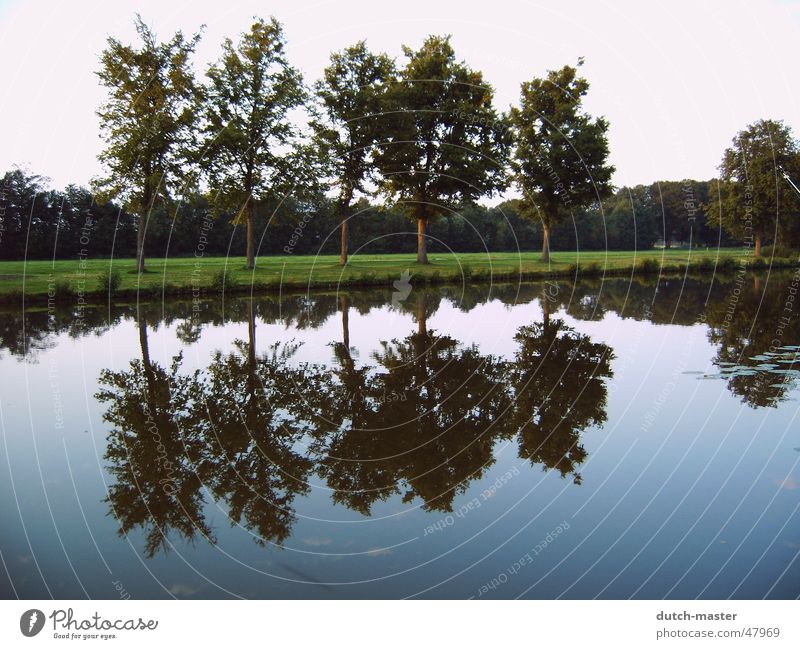 Part 2 NL 04 Baum Reflexion & Spiegelung Fotografie Sommer Niederlande See Bach Wasser spiegebild Fluss spiegelverkehrt Himmel Natur