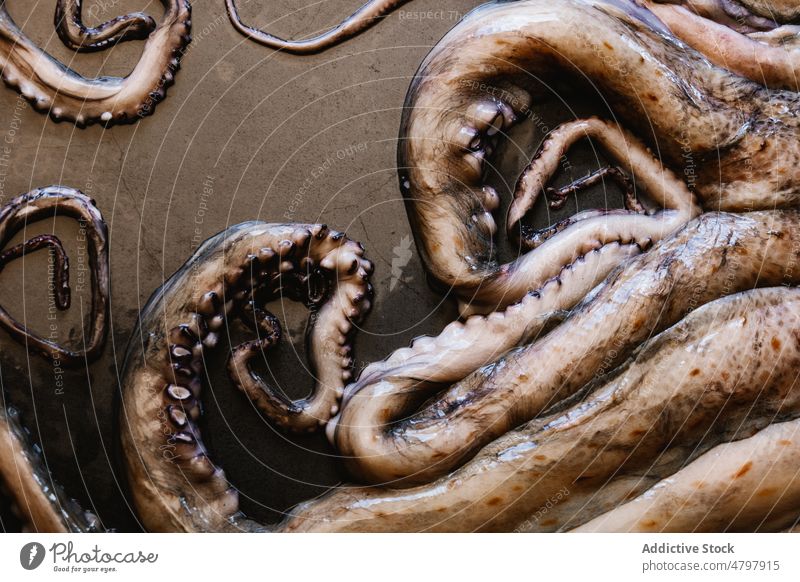 Roher Oktopus auf schwarzem Tisch Octopus roh Meeresfrüchte ungekocht Tentakel Küche kulinarisch Lebensmittel Produkt natürlich frisch Molluske Licht ganz