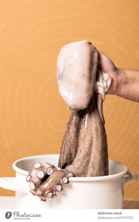 Unbekannter Koch hält Oktopus über Topf Person Octopus roh Meeresfrüchte Küche kulinarisch Lebensmittel exotisch ungekocht Produkt natürlich frisch Molluske