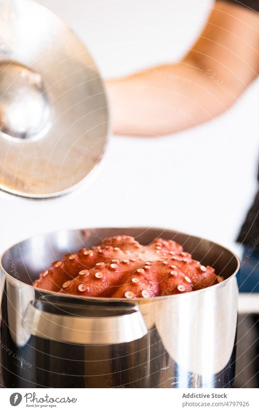 Anonyme Person kocht Tintenfisch im Topf Koch Herd Octopus roh Meeresfrüchte Küche kulinarisch Lebensmittel exotisch ungekocht Produkt Kocher natürlich frisch