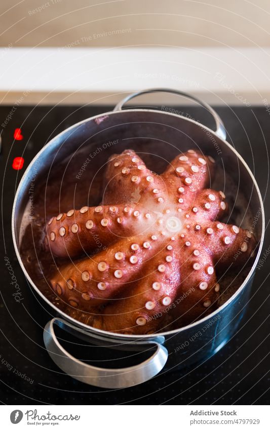 Oktopus im Topf auf dem Herd Octopus roh Koch Meeresfrüchte ungekocht Küche kochen kulinarisch Lebensmittel Kocher Einführung Küchengeräte Vorrichtung Produkt
