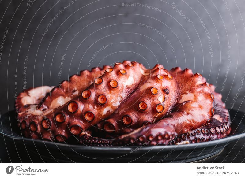 Leckerer Oktopus auf einem Teller serviert Octopus Meeresfrüchte Küche kulinarisch Lebensmittel exotisch Produkt natürlich Tentakel Gastronomie Molluske frisch