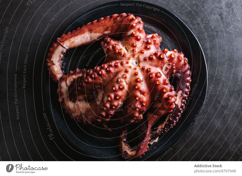 Leckerer Oktopus auf einem Teller serviert Octopus Meeresfrüchte Küche kulinarisch Lebensmittel exotisch Produkt natürlich Tentakel Gastronomie Molluske frisch