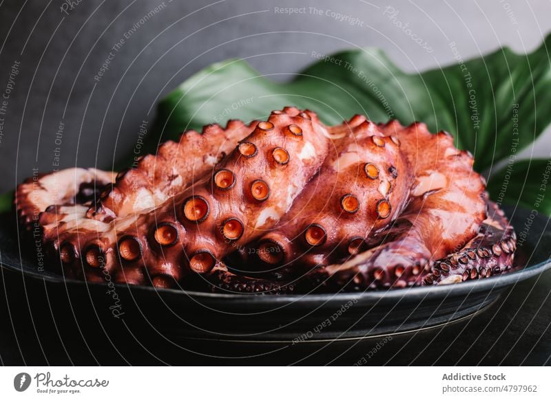 Leckerer Oktopus auf einem Teller serviert Octopus Meeresfrüchte Küche kulinarisch Lebensmittel exotisch Produkt natürlich Tentakel Gastronomie Blatt Molluske