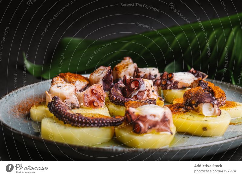 Oktopus mit Kartoffeln auf einem Teller Octopus Tentakel Meeresfrüchte dienen Küche kulinarisch Speise Mahlzeit Produkt Lebensmittel lecker Blatt schmackhaft