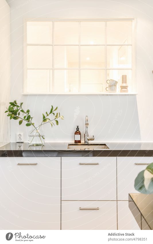 Weiße Schränke einer modernen Küche in einer Wohnung Möbel Schrank Waschbecken Innenbereich wohnbedingt Stil Vase Pflanze Design Zeitgenosse sehr wenige flach