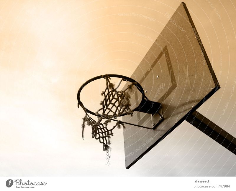 basketballkorb Korb Basketball