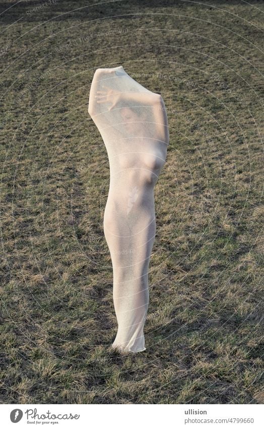 sexy junge Frau nackt in einem großen transparenten Strumpfkleid steht als moderne Skulptur auf einer Wiese Bildhauerei durchsichtig Kleid Tribüne Textfreiraum