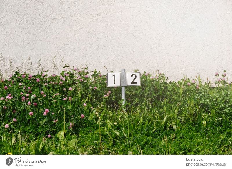 1, 2 nummerierte Parkplätze und davor Wiese und blühender Klee Ziffern Nummern grün Frühling wuchernd Gras Schild hell Wand Hauswand Schilder & Markierungen