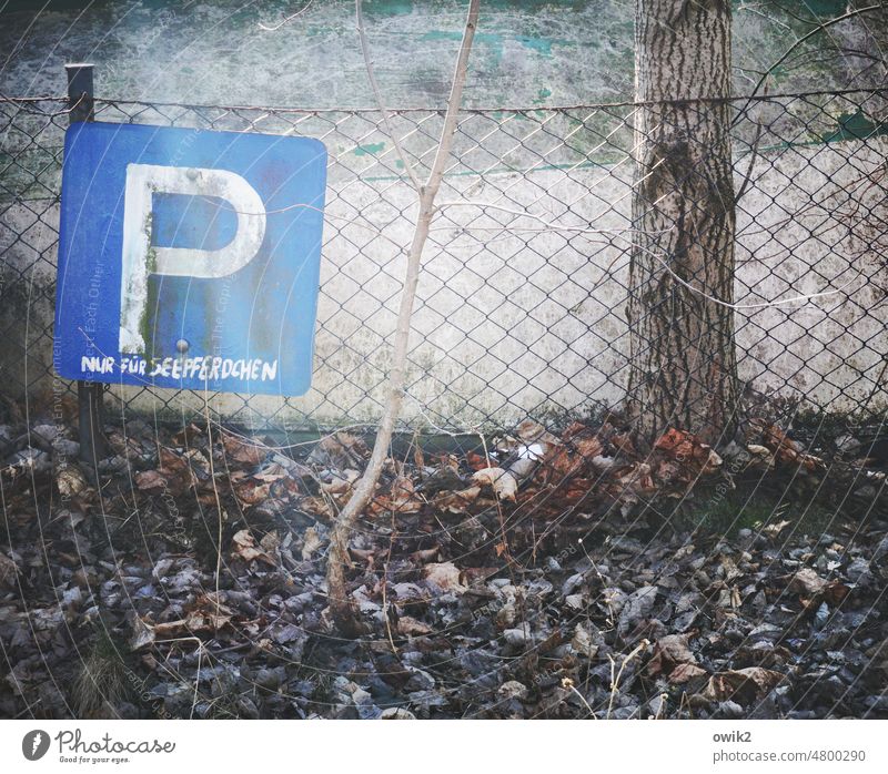 Unterwasserparkplatz Parkplatz Hinweisschild Verkehrszeichen Schilder & Markierungen Schriftzeichen Detailaufnahme Zeichen blau verrückt skurril