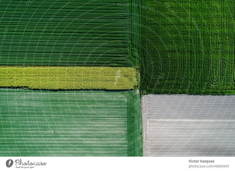 Luftaufnahme einer Drohne von Getreidefeldern malerisch Blatt Umwelt Licht Tapete Baum Muster Antenne Farben Dröhnen Sommer laubabwerfend Pflanze Hintergrund