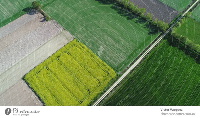 Luftbild einer Drohne über einige Raps- und Getreidefelder Spanien Frühling Hintergrund Dröhnen malerisch Blatt Umwelt Licht Tapete Baum Muster Antenne Farben