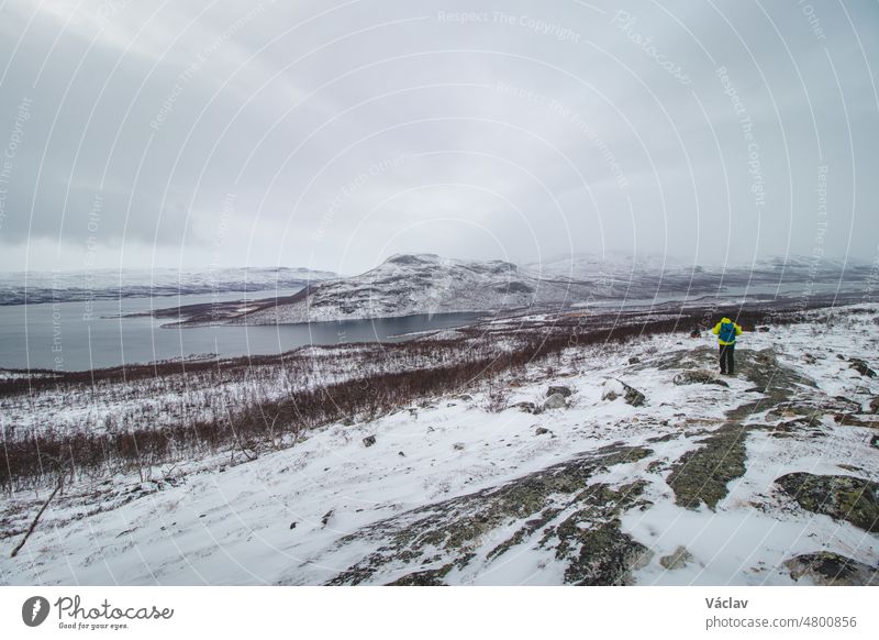 Frostiger Sonnenaufgang auf dem Berg Saana in Lappland, Nordwestfinnland. Mann in grüner Jacke geht mit Blick auf den Ylinen Kilpisjarvi und den Rest der kargen Landschaft. Dorf Kilpisjarvi. Grenze zu Norwegen