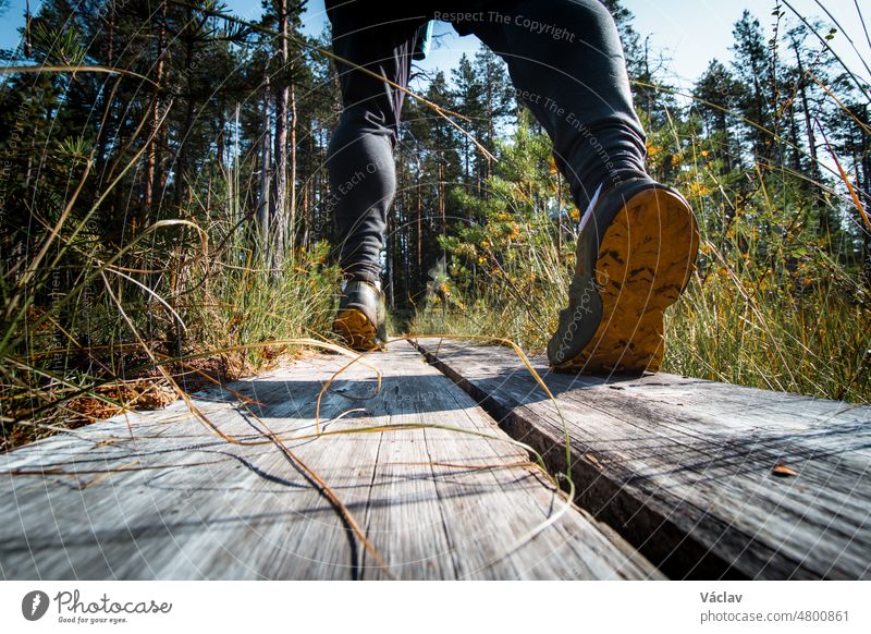 Blick auf die Waden eines erwachsenen Mannes, der auf einem Entenbrett durch den Wald im Hiidenportti-Nationalpark, Sotkamo, Region Kainuu in Finnland, spaziert. Aktiver Lebensstil. Frische Luft und ein Gefühl der Ruhe