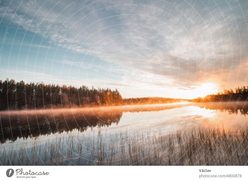 Atemberaubender Sonnenaufgang am Jatkonjärvi-See, der von der Sonne rot, orange, lila, rosa und blau gefärbt wird. Der Nebel, der sich auf der Oberfläche des Sees festsetzt, verleiht dem Schauspiel noch mehr Dramatik. Hossa-Nationalpark, Finnland