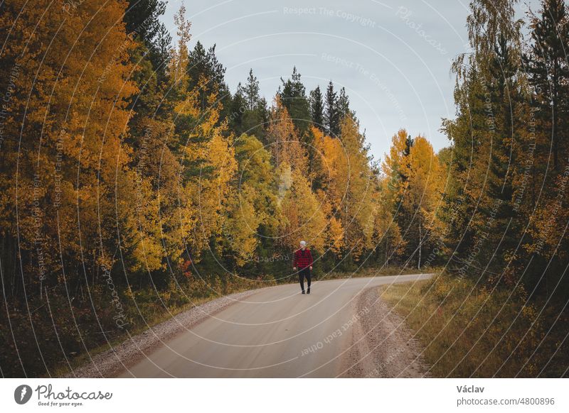 Ein 23-jähriger Mann in einem rot-schwarz karierten Hemd geht einen schaumigen Weg entlang, der von schönen, herbstlich gefärbten Laubbäumen umgeben ist. Genießen Sie den Moment. Region Kainuu, Finnland