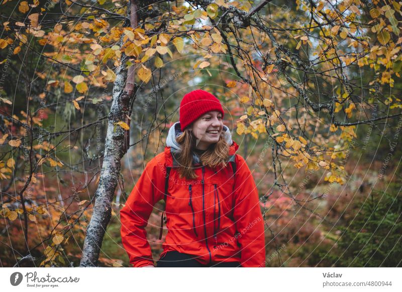 schöne brünette Reisende sitzt auf dem Gipfel eines Hügels auf einem Felsen und ruht sich nach einem anstrengenden Aufstieg aus. Sonnenuntergang auf dem Gipfel eines Berges in Vuokatti, Region Kainuu, Finnland. Natürliches Lächeln eines Mädchens in ihren 20ern