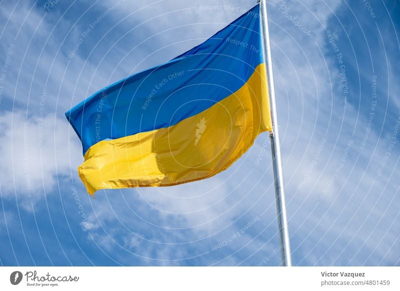 Die Flagge der Ukraine flattert im Wind an einem Tag mit weißem, bewölktem Himmel. friedlich Frieden Krim im Freien unabhängig Befreiung Emblem vereinzelt