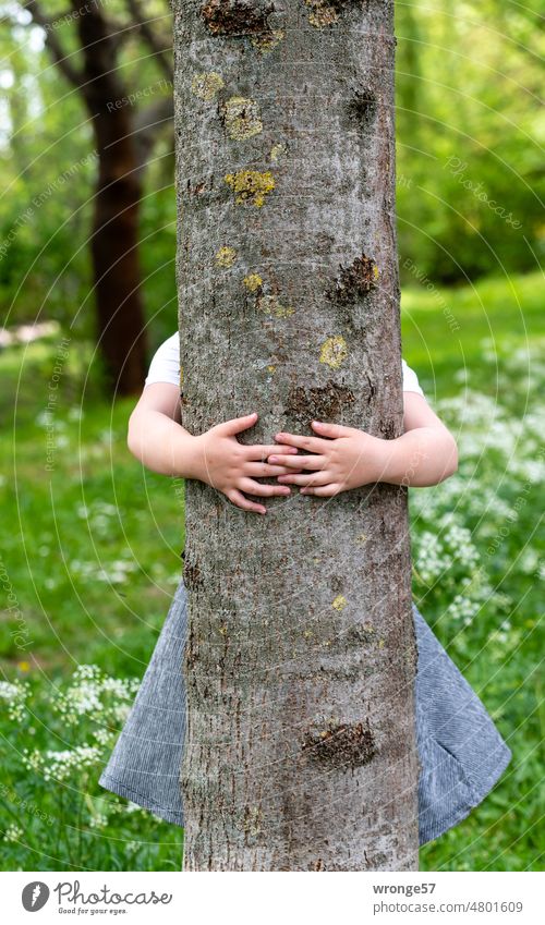 Blümchen zum Vatertag Baumstamm Nahaufnahme Mädchen umarmen Umarmung umklammern Umklammerung Baumkuscheln im Freien Sommer verstecken Tag im Grünen wohnen