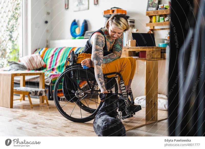 Junge tätowierte Frau in einem Rollstuhl mit ihrem Hund zu Hause häusliches Leben Selbstvertrauen im Innenbereich heimwärts Menschen jung Erwachsener lässig