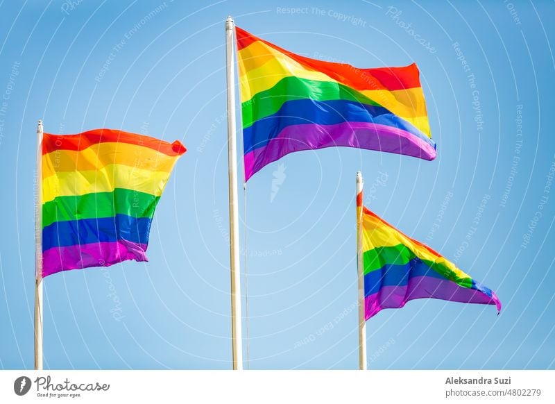 Die Regenbogenflagge flattert gegen den blauen Himmel, das Symbol der LGBT-Gemeinschaft Pride Hintergrund bisexuell hell Fahnentuch Feier Farbe farbenfroh