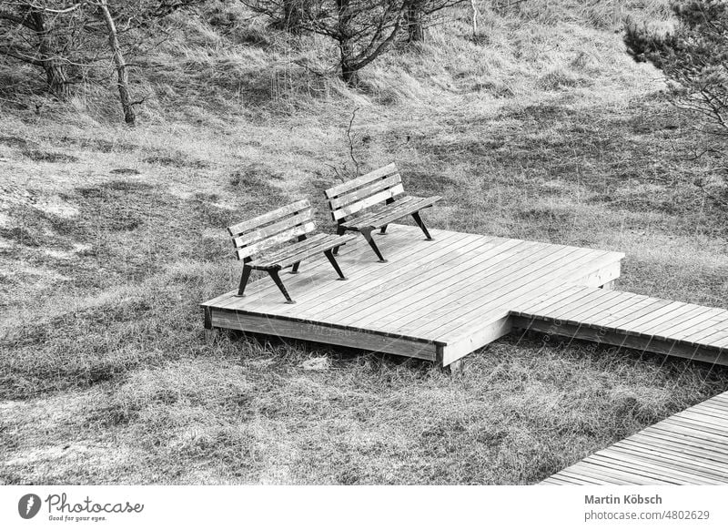 Holzsteg in Schwarz-Weiß mit Bank an hoher Düne auf dem Darss. National Park schwarz auf weiß Steg Fußweg hohe Düne Ostsee MEER Sand Strand Himmel Darrs Zingst