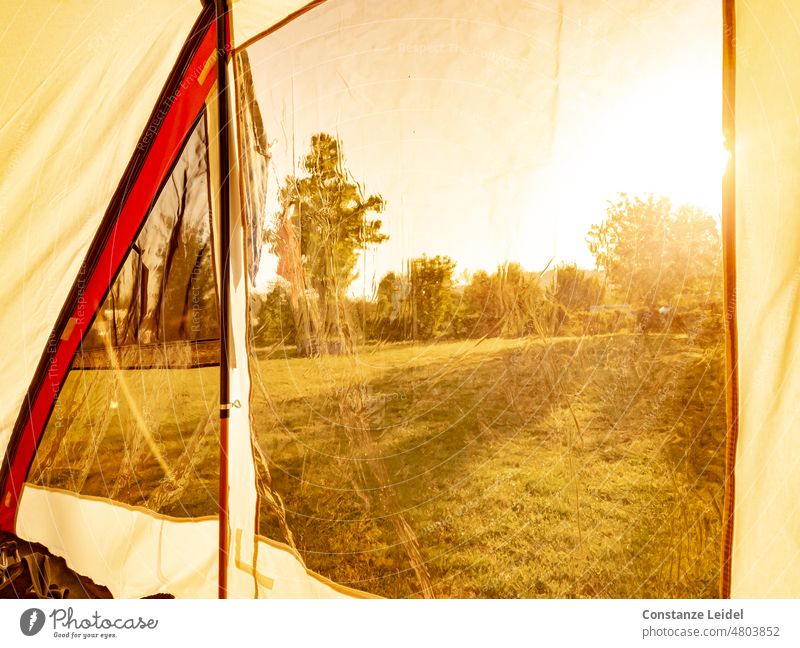 Blick am Morgen aus dem Campingzelt Richtung Sonne Zelt Natur Sommer Abenteuer Außenaufnahme Ferien & Urlaub & Reisen Licht Erholung Freizeit & Hobby Tourismus