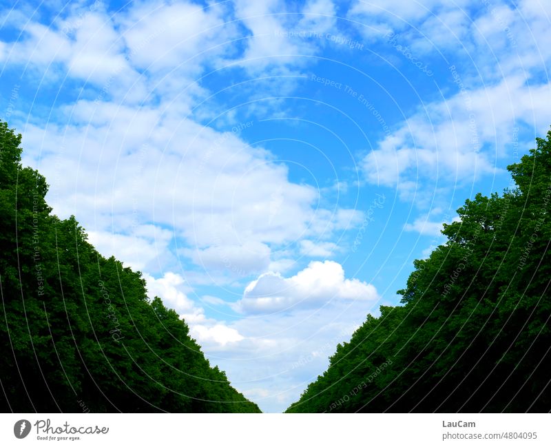 [hansa BER 2022] Himmel über Berlin Wolken Straße des 17. Juni Tiergarten geometrisch dreieckig Schneise Hauptstadt blau grün weiß spitz Strukturen & Formen