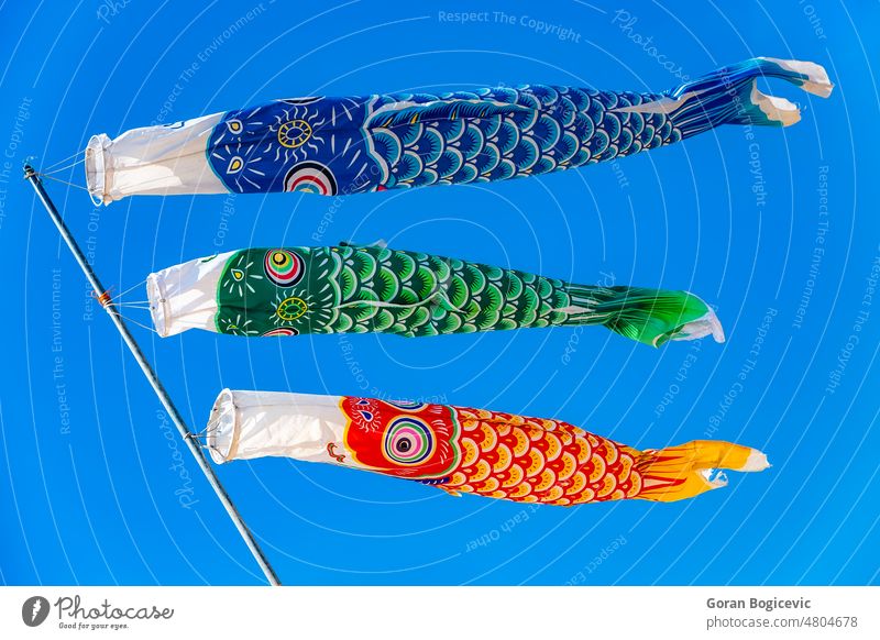 Bunte Windsäcke in Karpfenform Fahne Japan Windsack Feiertag Japanisch Kinder Saison Tradition Tag Dekoration & Verzierung Himmel Stadtfest Fliege traditionell