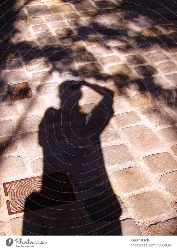 An der Wand befindet sich ein Selbstporträt als Scherenschnitt. Licht Schatten Silhouette Selbstportrait Porträt Person Baum Schachtabdeckung Lebkuchen