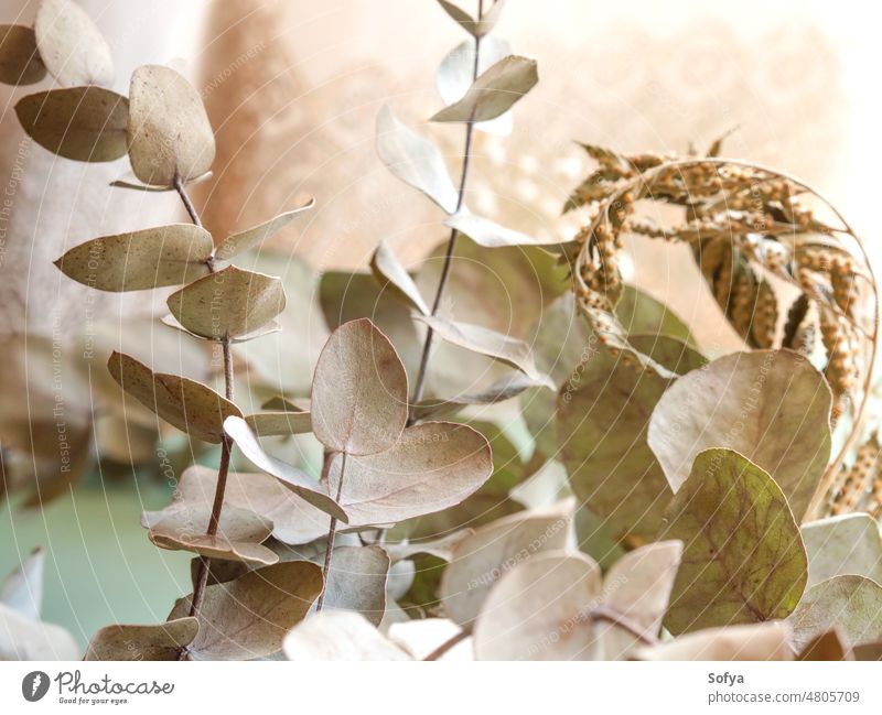 Strauß getrockneter Blumen und Eukaliptuszweige auf grünem Hintergrund trocknen fallen Ast schön Haufen Winter geblümt Blumenstrauß keine Verschwendung