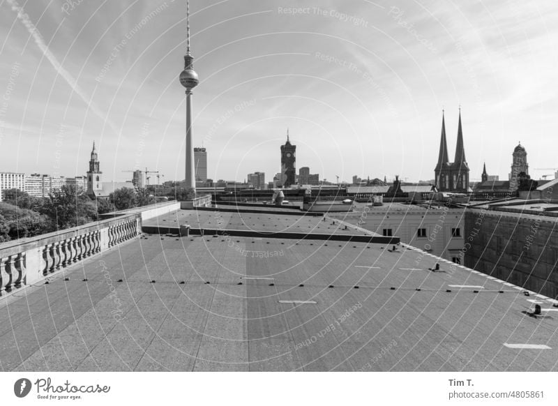 auf einem Dach in Berlin Skyline bnw Fernsehturm s/w Frühling Mitte Tag Außenaufnahme Menschenleer Stadt Schwarzweißfoto Hauptstadt Architektur Stadtzentrum