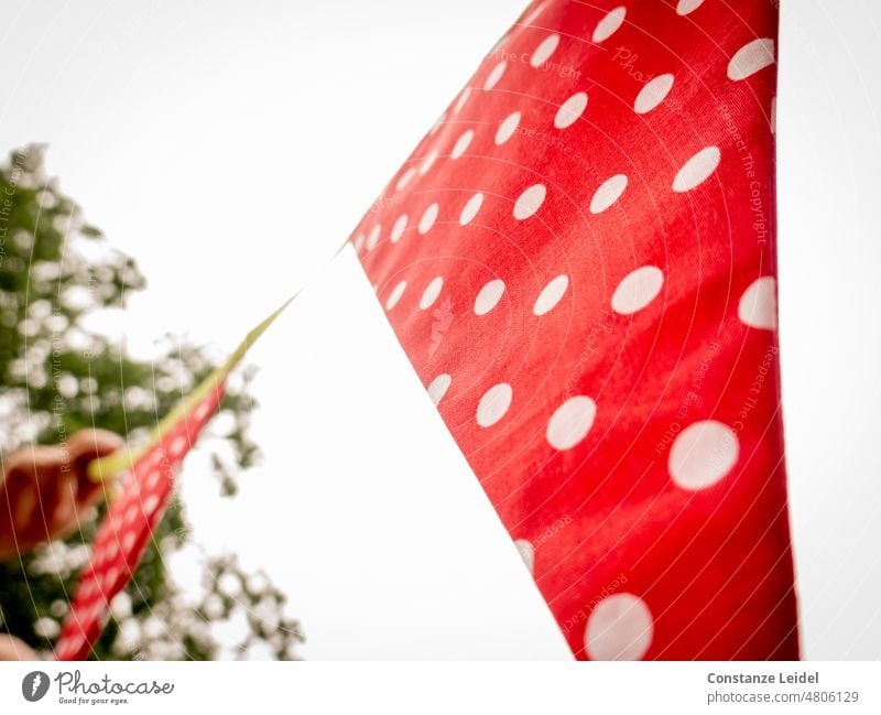 Wimpelkette im Garten  mit roten, weißgepunkteten Fähnchen Deko luftig Sommer Stimmung Geburtstag feiern Schmuck fröhlich Lichteinfall Vorfreude hoch