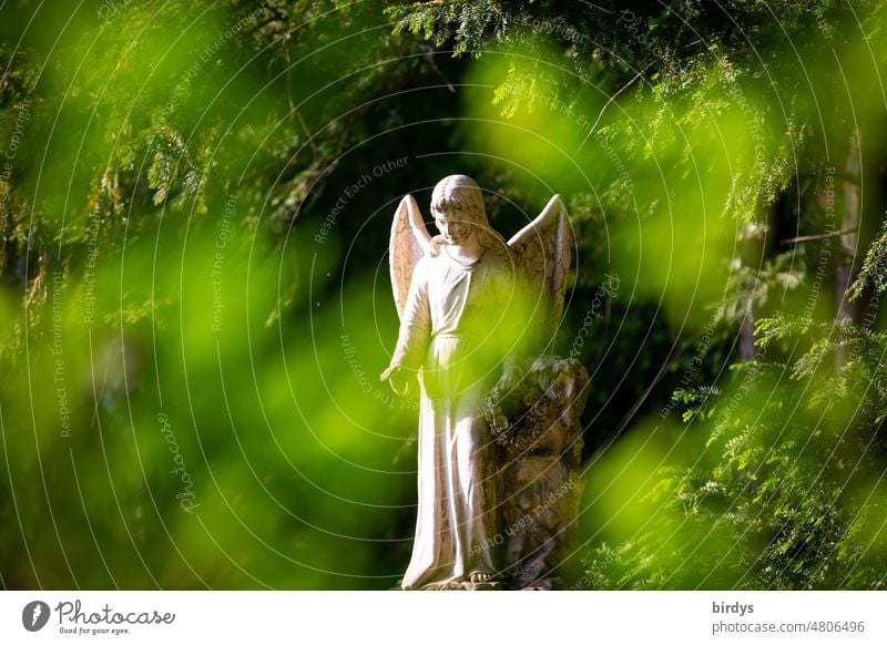 weiße Engelsstatue hinter grünen unscharfen Blättern Statue Religion & Glaube Christentum Friedhof Flügel Trauer christlich Tod Traurigkeit Unschärfe Frieden
