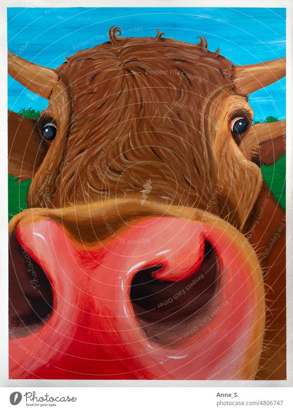 Neugierige braune Kuh auf einer Weide, die in die Kamera schaut. Nutztiere Fleisch Vegane Ernährung Tierporträt Vegetarische Ernährung Rind vegetarier vegan