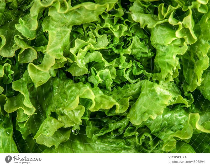 Nahaufnahme von grünen Salatblättern im Hintergrund. abschließen Salatbeilage Bestandteil Gesundheit Diät Lebensmittelhintergrund Natur Ackerbau Farbe frisch
