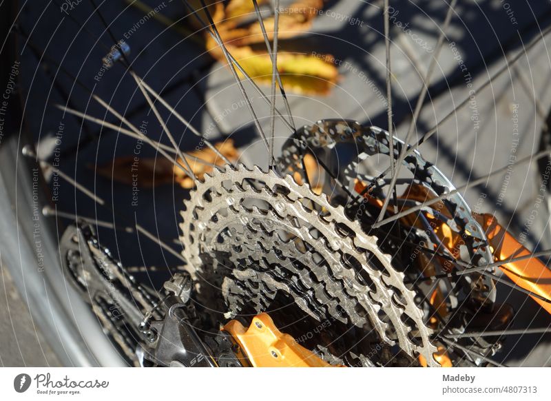 Zahnradkranz eines Fahrrad und Mountainbike im Herbst mit Herbstlaub bei Sonnenschein in Gießen an der Lahn in Hessen Rad MTB Gangschaltung Übersetzung