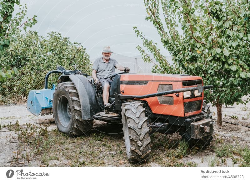 Älterer Mann fährt Traktor auf einem Bauernhof Laufwerk Obstgarten Landwirt Sommer Baum Ackerbau Arbeit Landschaft männlich älter Senior gealtert Schonung