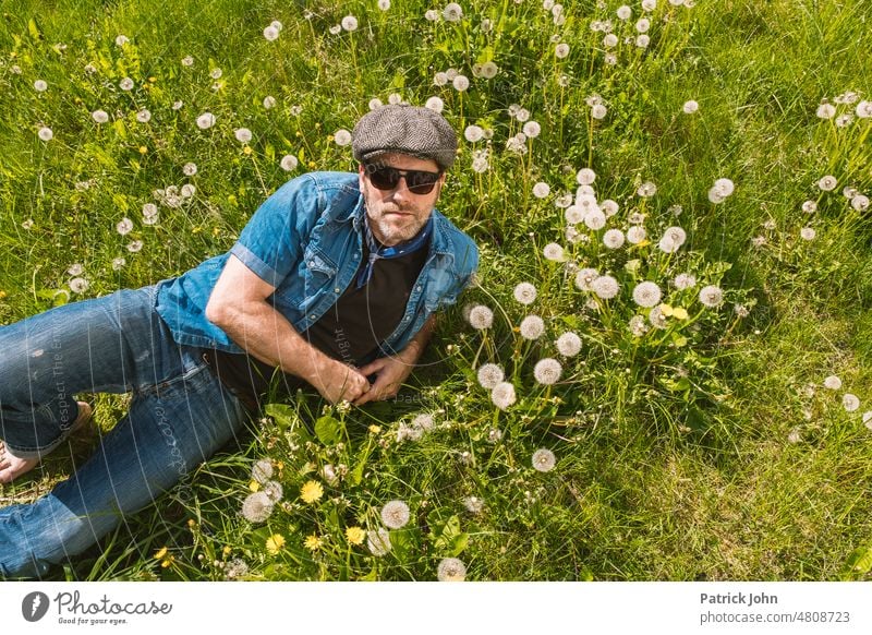 Senior Mann mit Schiebermütze und Sonnenbrille liegt auf einer Wiese voller Pusteblumen Sommerwiese Löwenzahn Jeans Halstuch
