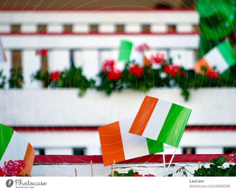 Irisch irisch Irland Republik Irland Nationalflagge grün weiß orange St. Patrick's Day Farbfoto fröhlich stolz grüne Hügel Trikolore Natur Landschaft Farbe bunt