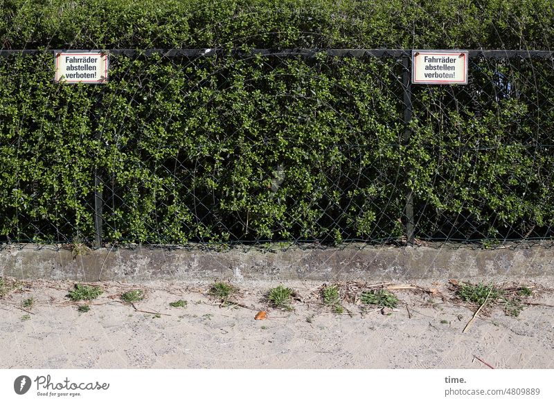 Geschichten vom Zaun (119) Hecke verbotsschild hinweis mauer gehweg fahrradfahren aufhängung doppelt ernsthaft warnung grenze begrenzung blickdicht buchsbaum