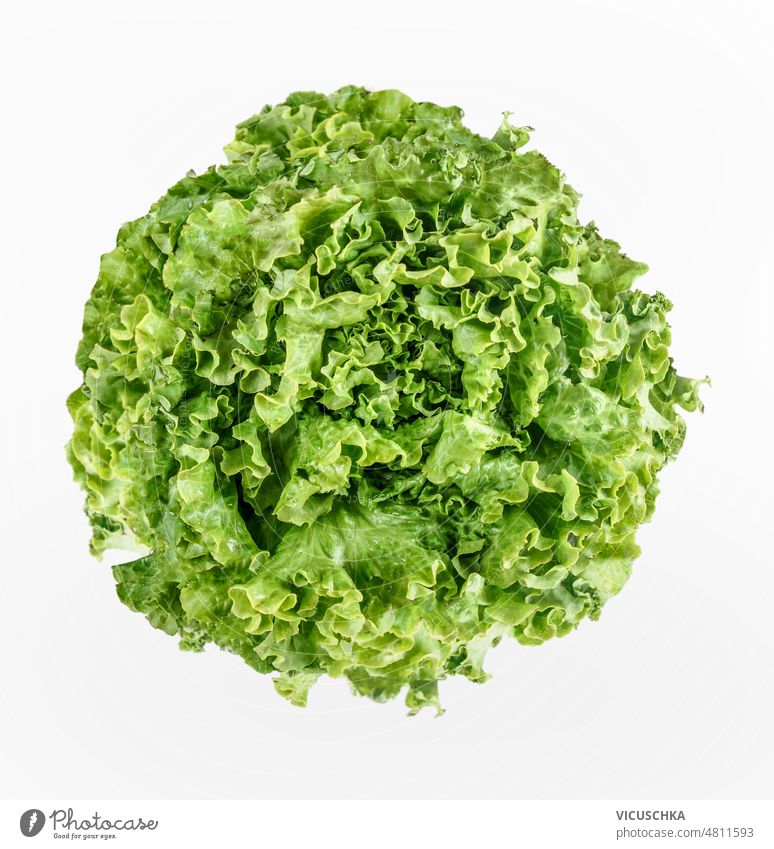 Grüner Salatkopf auf weißem Hintergrund. grün weißer Hintergrund Gesundheit Salatbeilage Bestandteil gesunde Ernährung Draufsicht Farbe Lebensmittel frisch roh