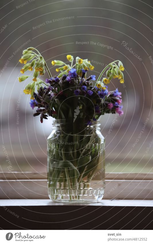 Frühlingsblumenstrauß vor dem Fenster. Gelbe, rosa, blaue, lila Waldfrühlingsblumen stehen in einem Glasgefäß drinnen auf der Fensterbank. Rustikales Stillleben Blumen im Glas.